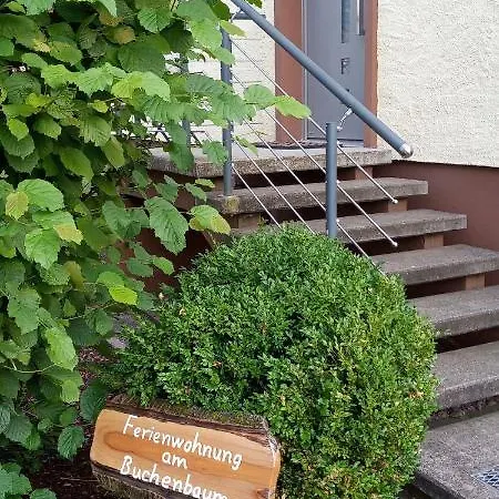 Ferienwohnung Am Buchenbaum